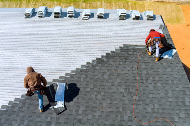 Best Roof Gutter Cleaning  in Minersville, PA
