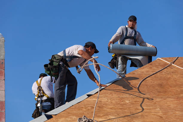 Roof Waterproofing Services in Minersville, PA