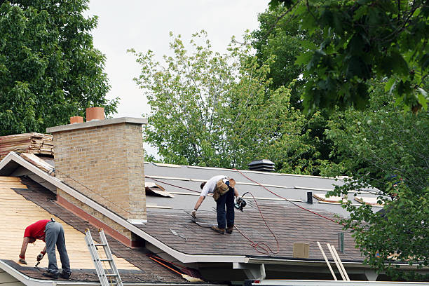 Best Roof Gutter Cleaning  in Minersville, PA